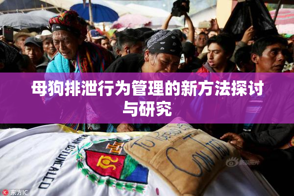 母狗排泄行为管理的新方法探讨与研究