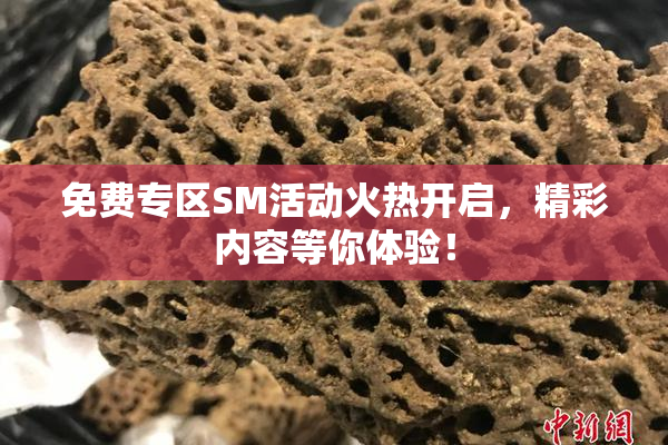 免费专区SM活动火热开启，精彩内容等你体验！