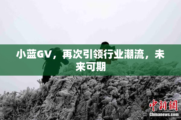 小蓝GV，再次引领行业潮流，未来可期
