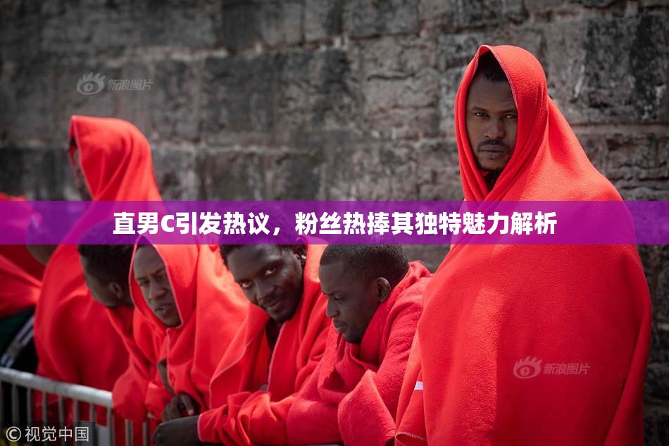 直男C引发热议，粉丝热捧其独特魅力解析