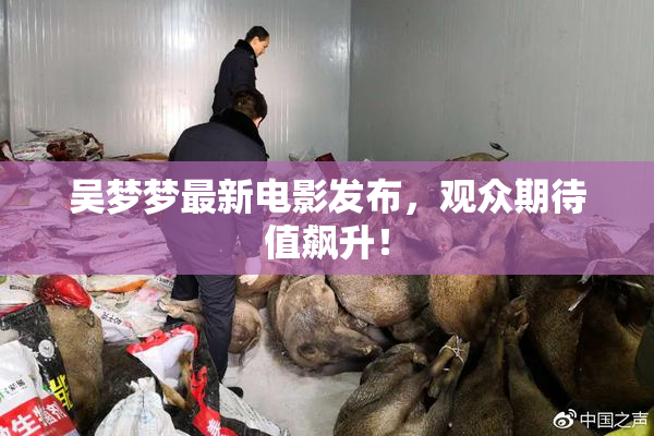 吴梦梦最新电影发布，观众期待值飙升！