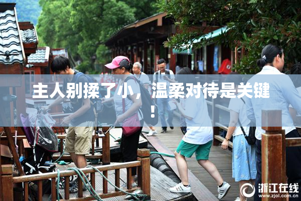 主人别揉了小，温柔对待是关键！