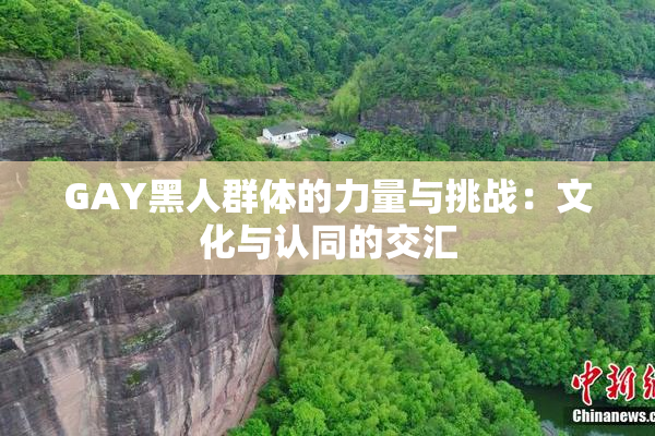 GAY黑人群体的力量与挑战：文化与认同的交汇