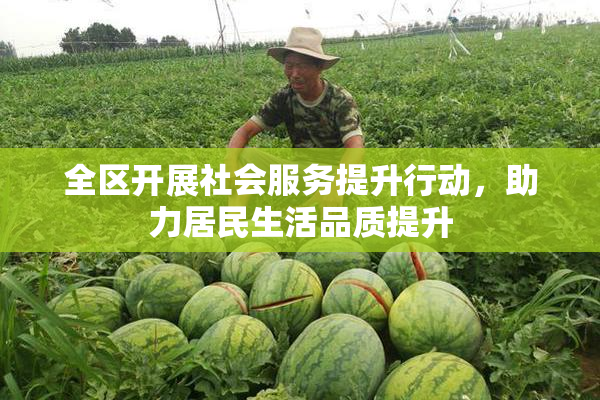 全区开展社会服务提升行动，助力居民生活品质提升