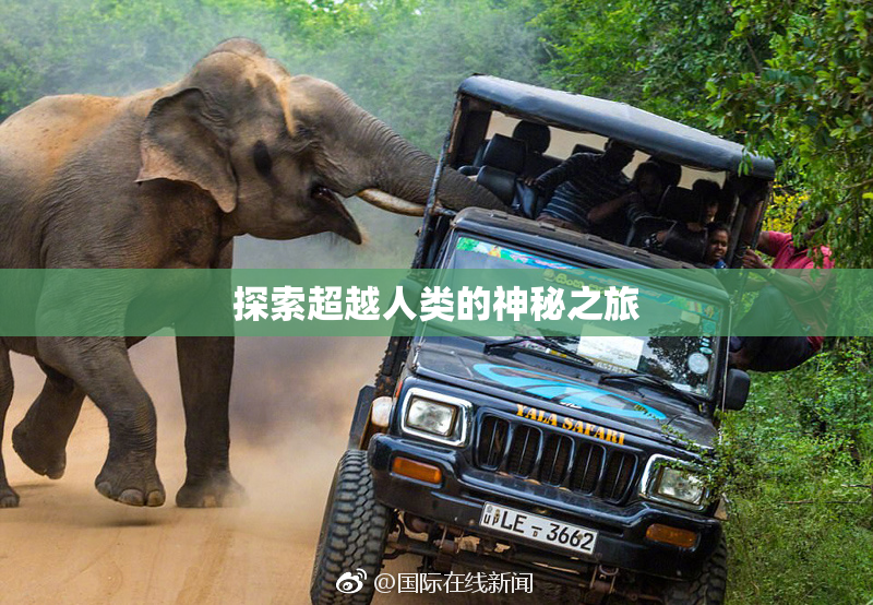探索超越人类的神秘之旅