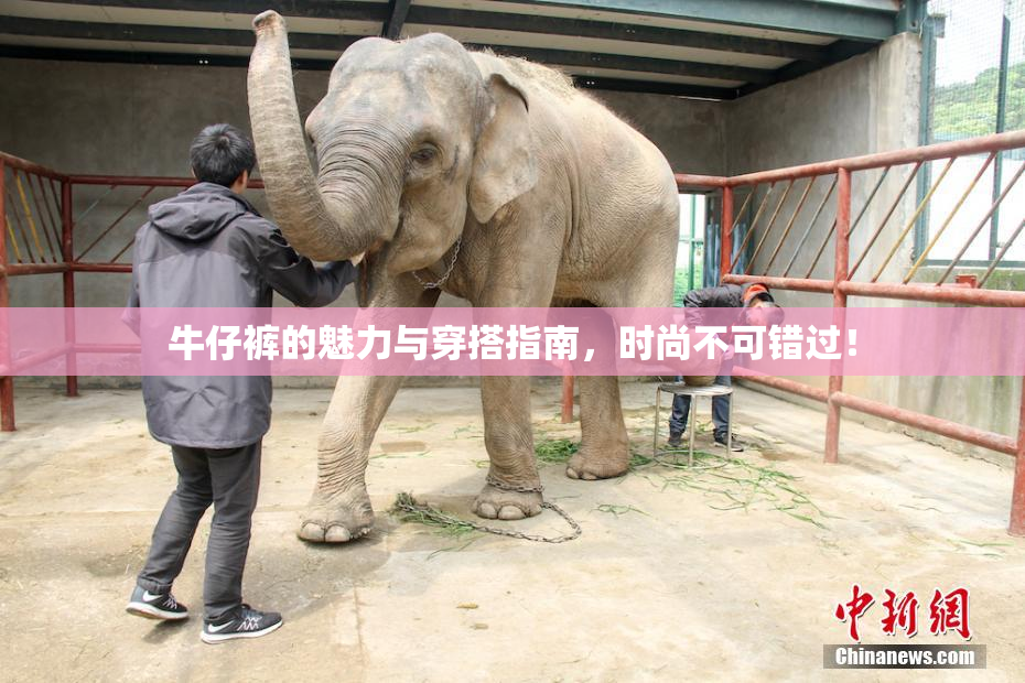 牛仔裤的魅力与穿搭指南，时尚不可错过！