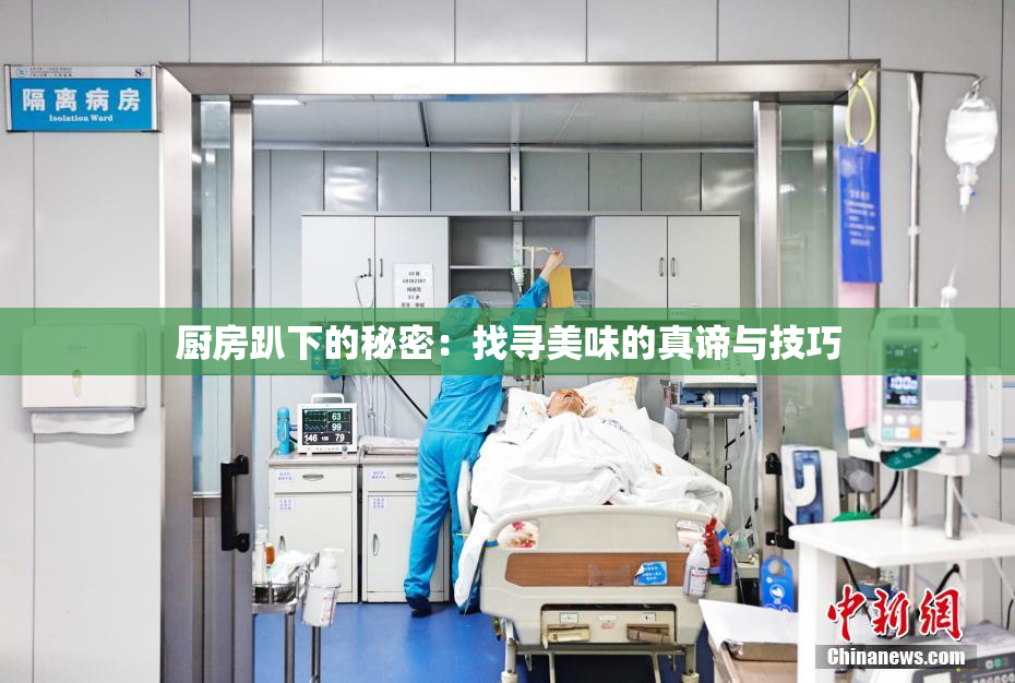 厨房趴下的秘密：找寻美味的真谛与技巧