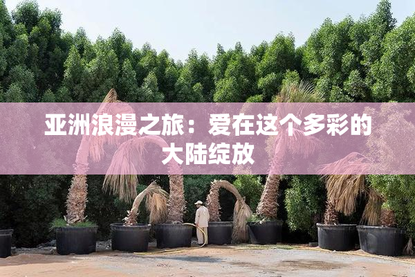 亚洲浪漫之旅：爱在这个多彩的大陆绽放