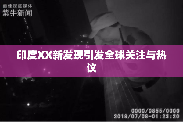 印度XX新发现引发全球关注与热议
