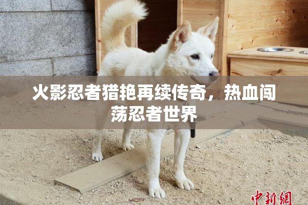 火影忍者猎艳再续传奇，热血闯荡忍者世界