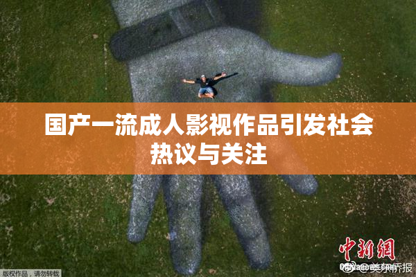 国产一流成人影视作品引发社会热议与关注