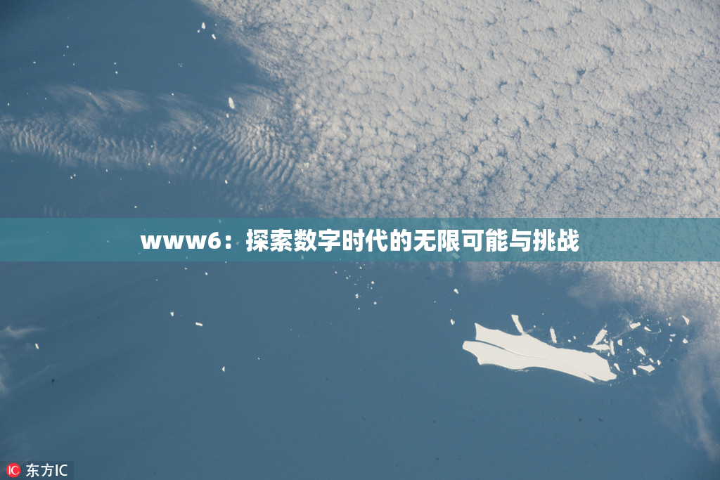 www6：探索数字时代的无限可能与挑战