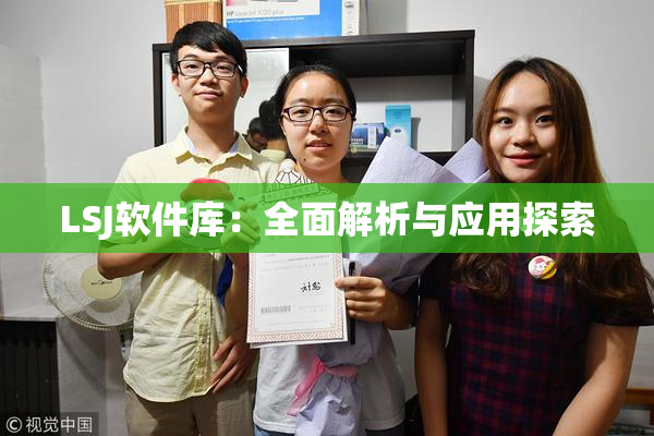 LSJ软件库：全面解析与应用探索