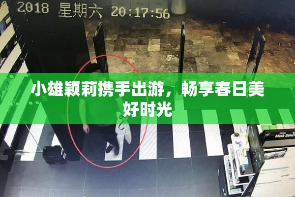 小雄颖莉携手出游，畅享春日美好时光