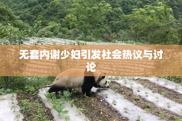 无套内谢少妇引发社会热议与讨论