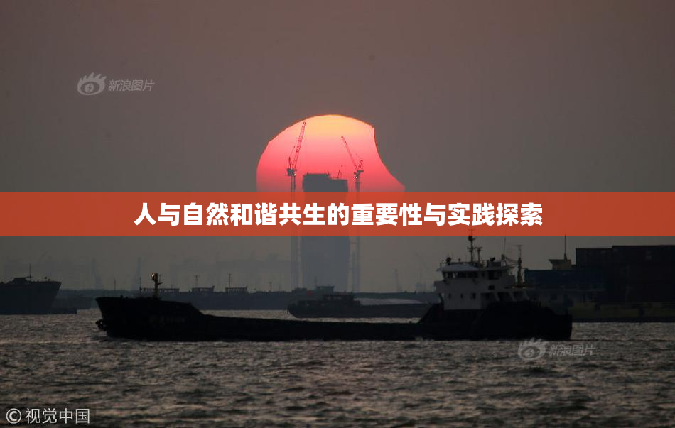 人与自然和谐共生的重要性与实践探索
