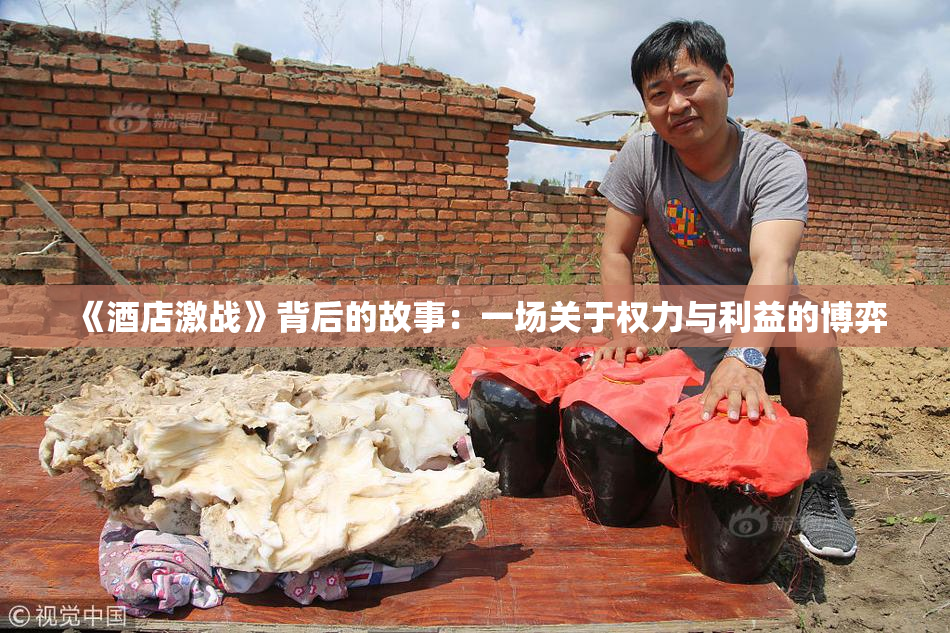 《酒店激战》背后的故事：一场关于权力与利益的博弈