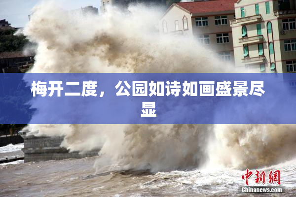 梅开二度，公园如诗如画盛景尽显