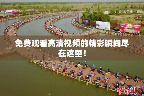 免费观看高清视频的精彩瞬间尽在这里！