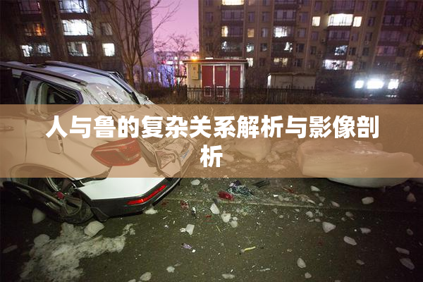 人与鲁的复杂关系解析与影像剖析