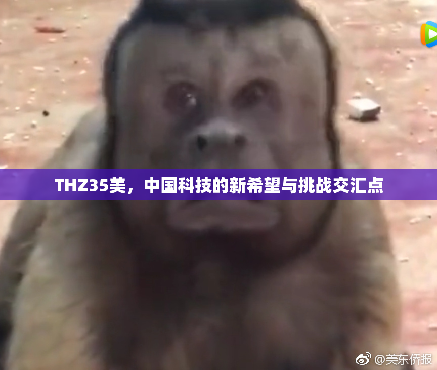 THZ35美，中国科技的新希望与挑战交汇点