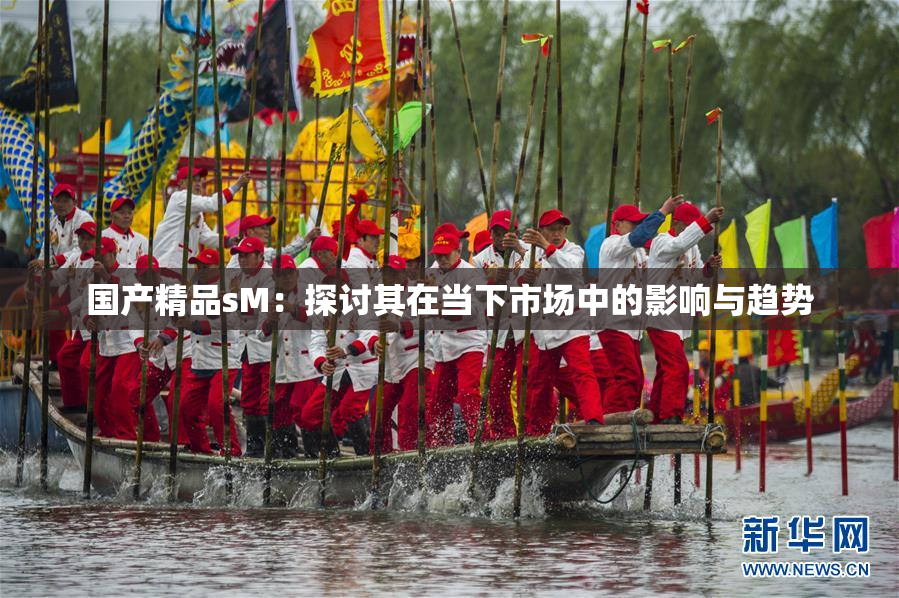 国产精品sM：探讨其在当下市场中的影响与趋势