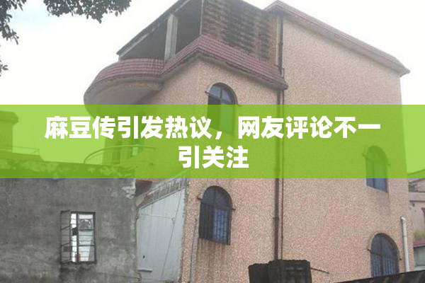 麻豆传引发热议，网友评论不一引关注