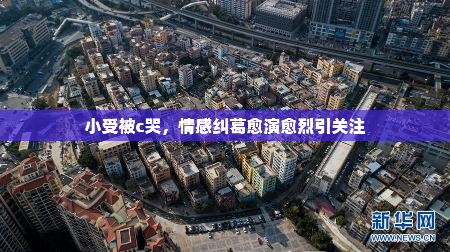 小受被c哭，情感纠葛愈演愈烈引关注