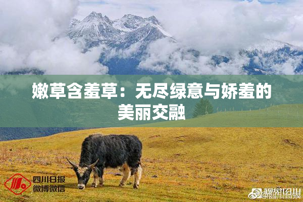 嫩草含羞草：无尽绿意与娇羞的美丽交融