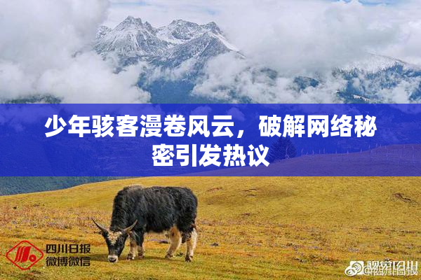 少年骇客漫卷风云，破解网络秘密引发热议