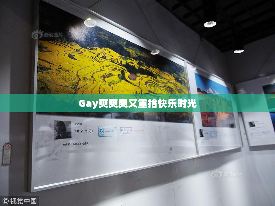 Gay爽爽爽又重拾快乐时光