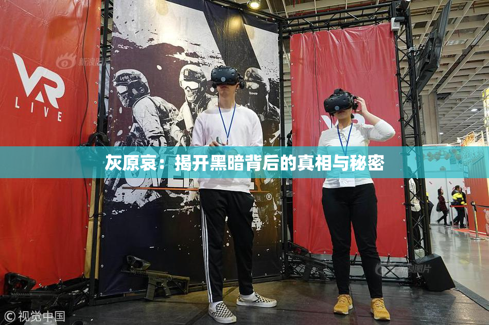 灰原哀：揭开黑暗背后的真相与秘密