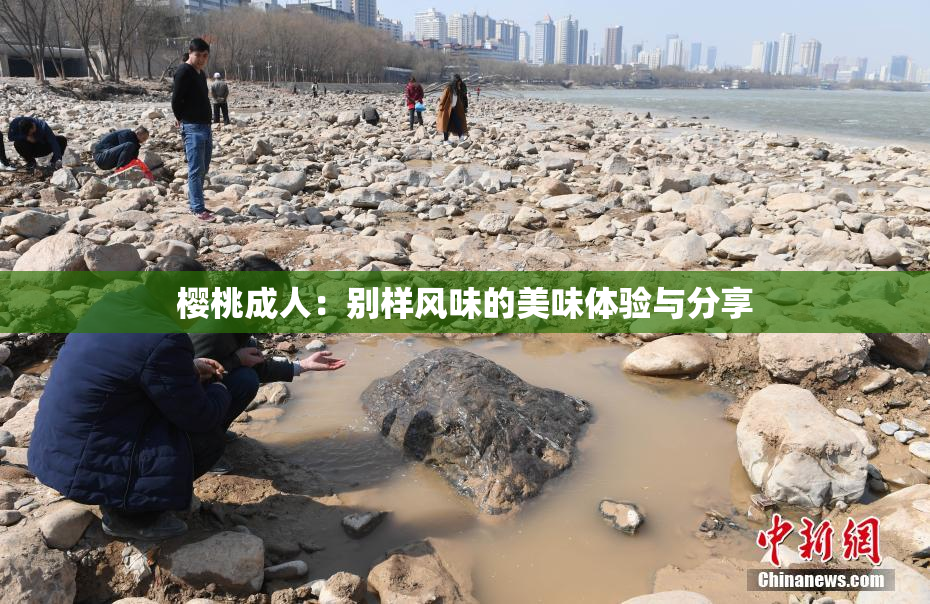 樱桃成人：别样风味的美味体验与分享