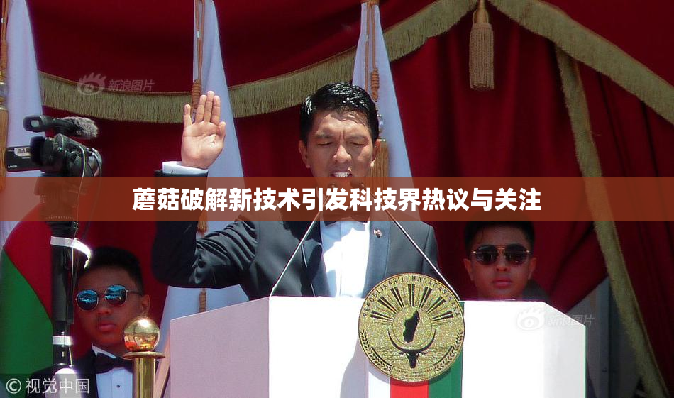 蘑菇破解新技术引发科技界热议与关注