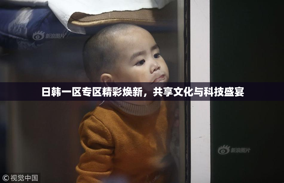 日韩一区专区精彩焕新，共享文化与科技盛宴