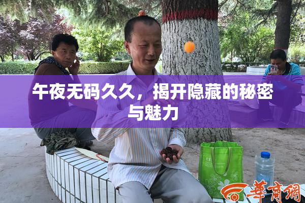 午夜无码久久，揭开隐藏的秘密与魅力