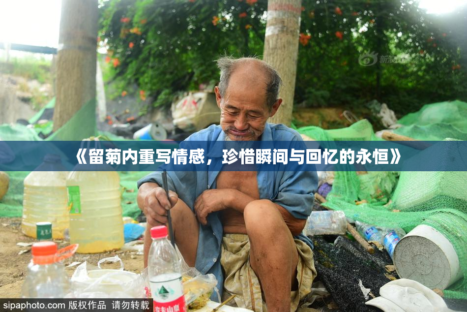 《留菊内重写情感，珍惜瞬间与回忆的永恒》