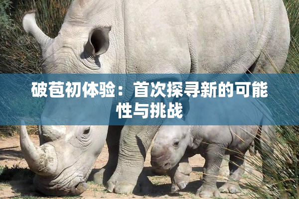 破苞初体验：首次探寻新的可能性与挑战