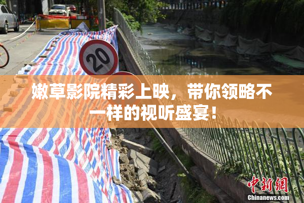 嫩草影院精彩上映，带你领略不一样的视听盛宴！