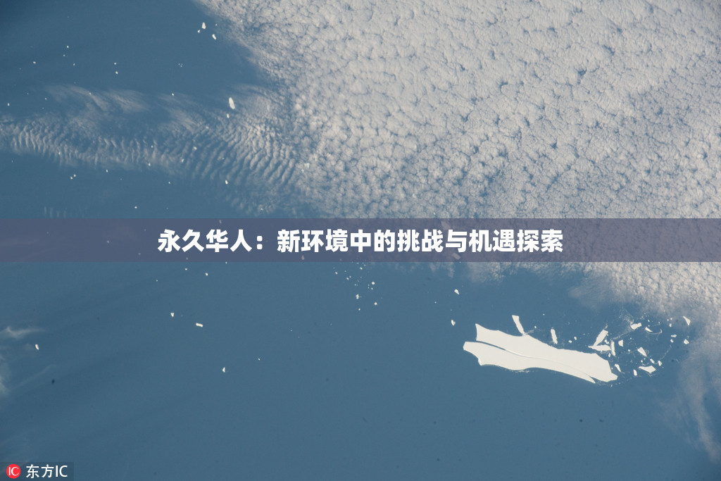 永久华人：新环境中的挑战与机遇探索