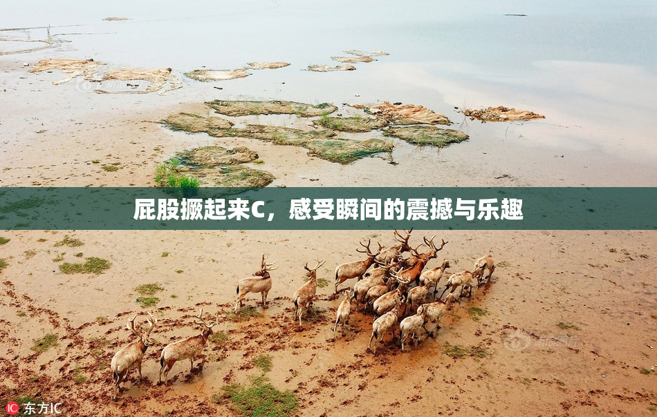 屁股撅起来C，感受瞬间的震撼与乐趣