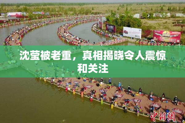 沈莹被老重，真相揭晓令人震惊和关注