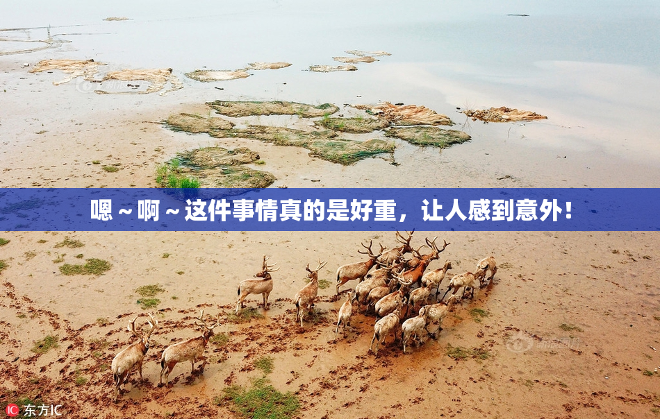 嗯～啊～这件事情真的是好重，让人感到意外！