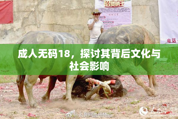 成人无码18，探讨其背后文化与社会影响