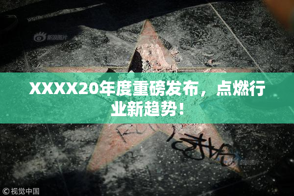 XXXX20年度重磅发布，点燃行业新趋势！