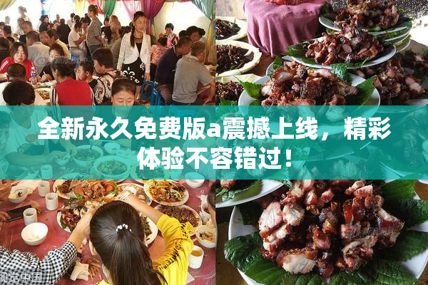 全新永久免费版a震撼上线，精彩体验不容错过！
