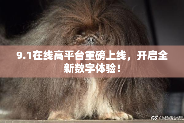 9.1在线高平台重磅上线，开启全新数字体验！