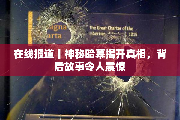 在线报道丨神秘暗幕揭开真相，背后故事令人震惊