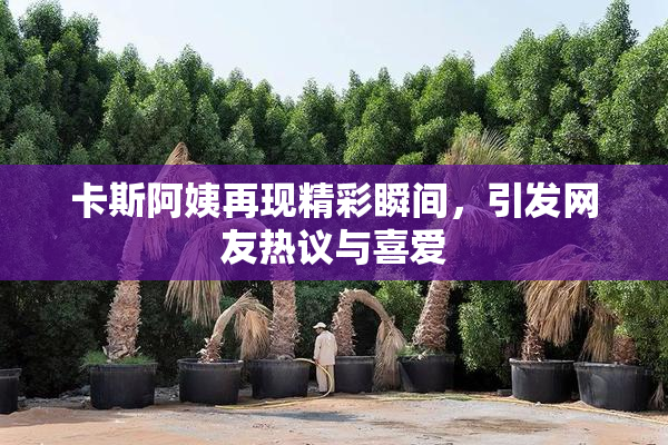 卡斯阿姨再现精彩瞬间，引发网友热议与喜爱