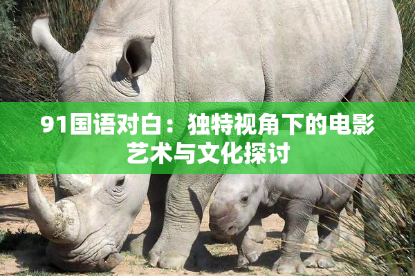91国语对白：独特视角下的电影艺术与文化探讨